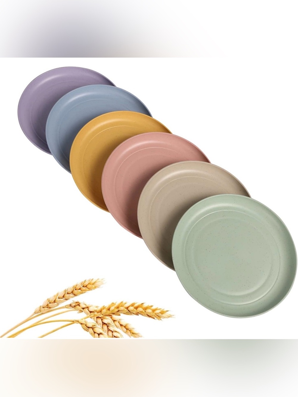 Pastel Dinner Plate Set - Multi-Color